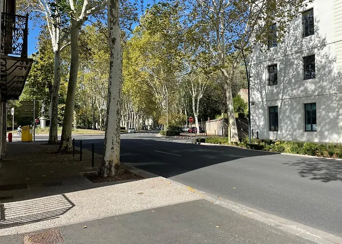 L'eveche - T3 Spacieux & Traversant En Hypercentre