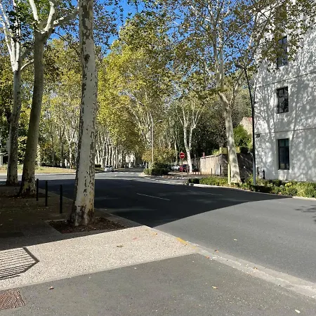 L'évêché - T3 Spacieux&traversant En Hypercentre