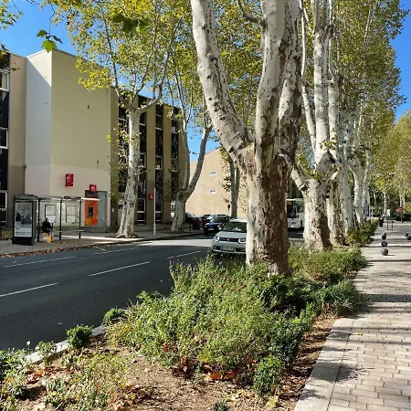L'évêché - T3 Spacieux&traversant En Hypercentre * Castres (Tarn)
